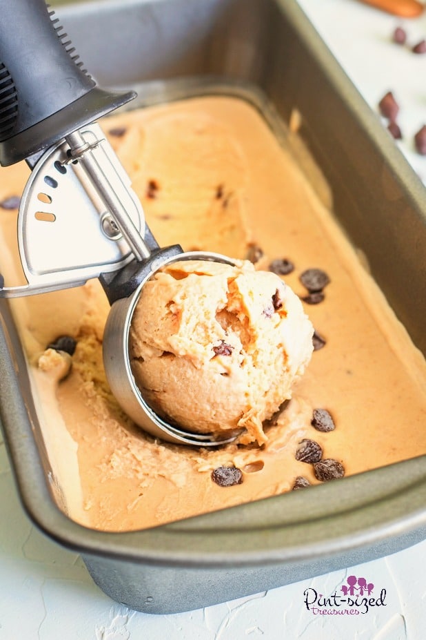 peanut butter frozen yogurt for pregnancy diet