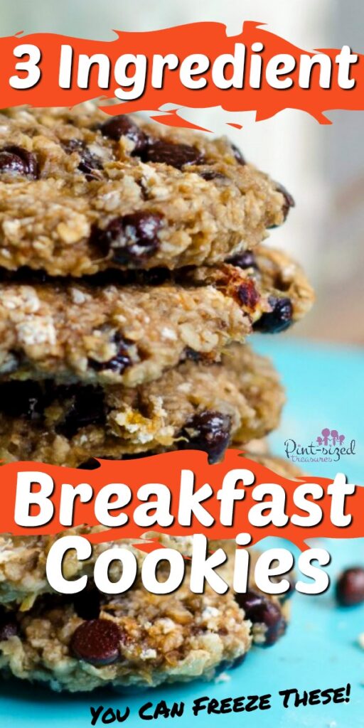 three ingredient breakfast cookies