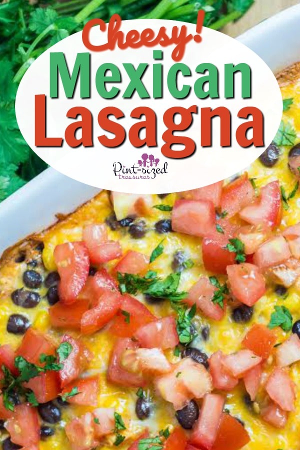 Mexican lasagna recipe