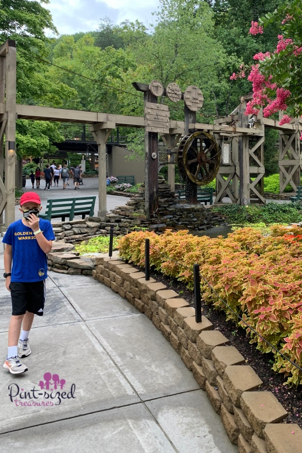 flowers at Dollywood