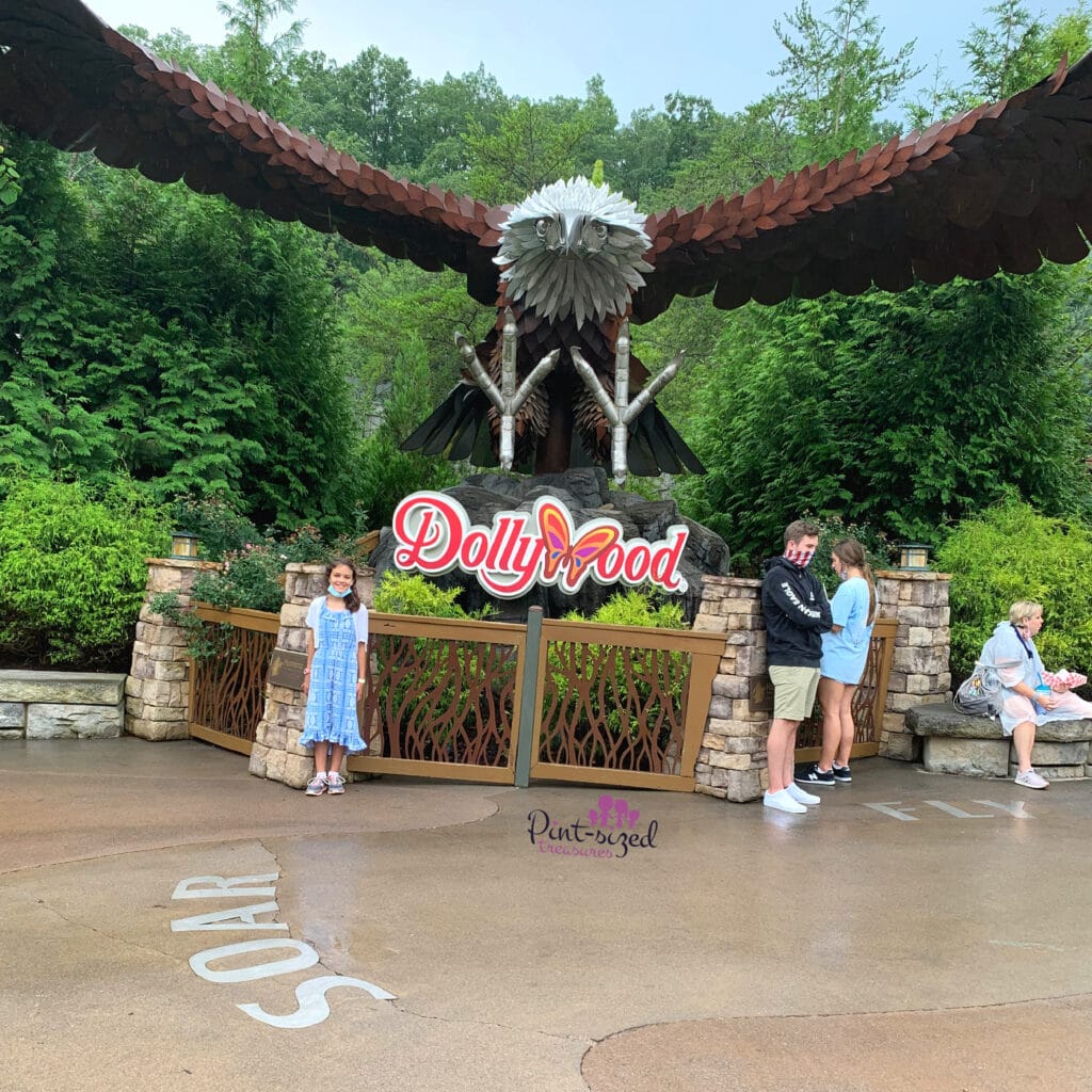 wild eagle at Dollywood
