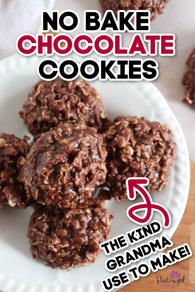 close up of no bake cookies recipe