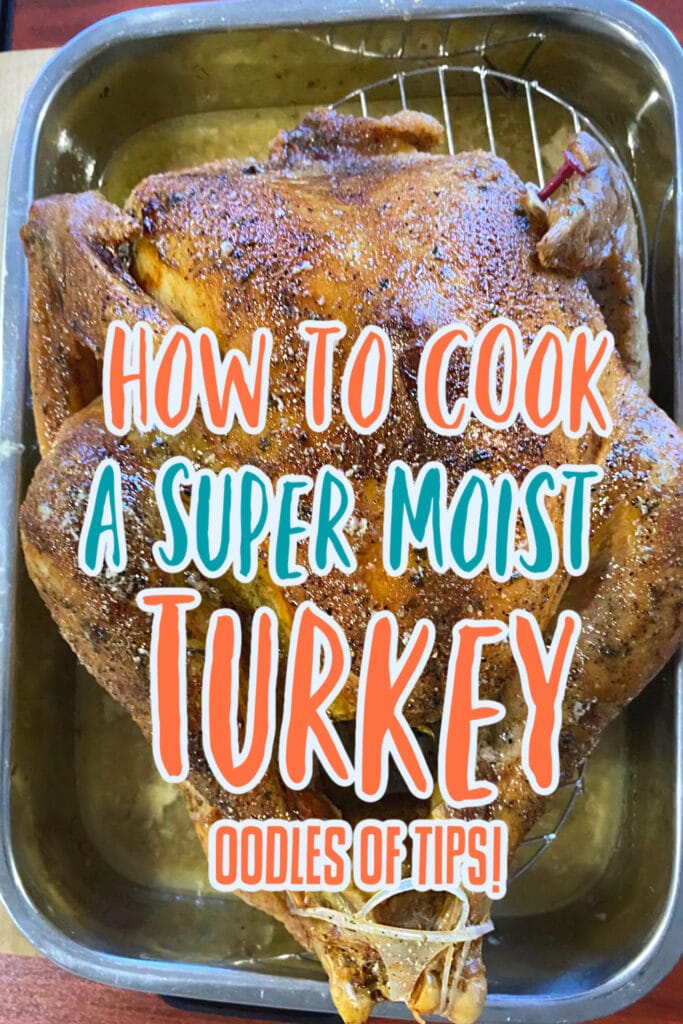 cooked turkey in roasting pan