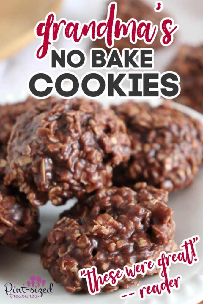 no bake cookies ready to serve