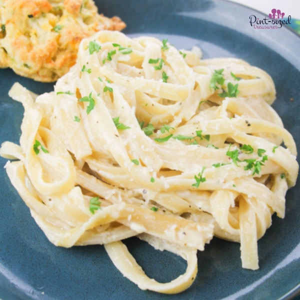 Alfredo Sauce with fettuccini noodles on plate