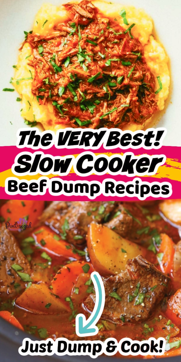 slow cooker beef dump recipes