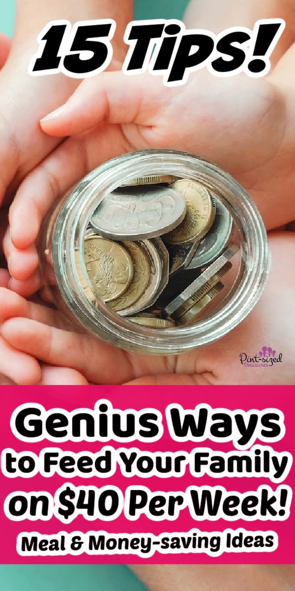 how to save money on meals and groceries