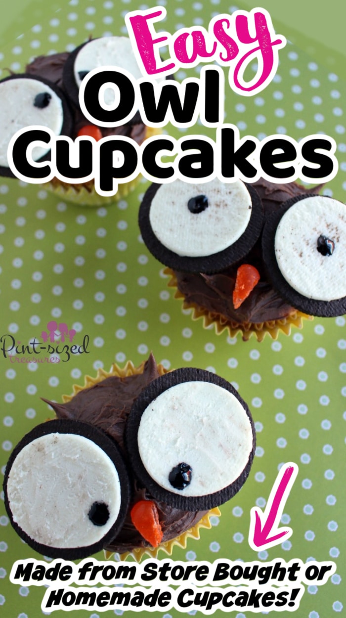 owl cupcakes on table