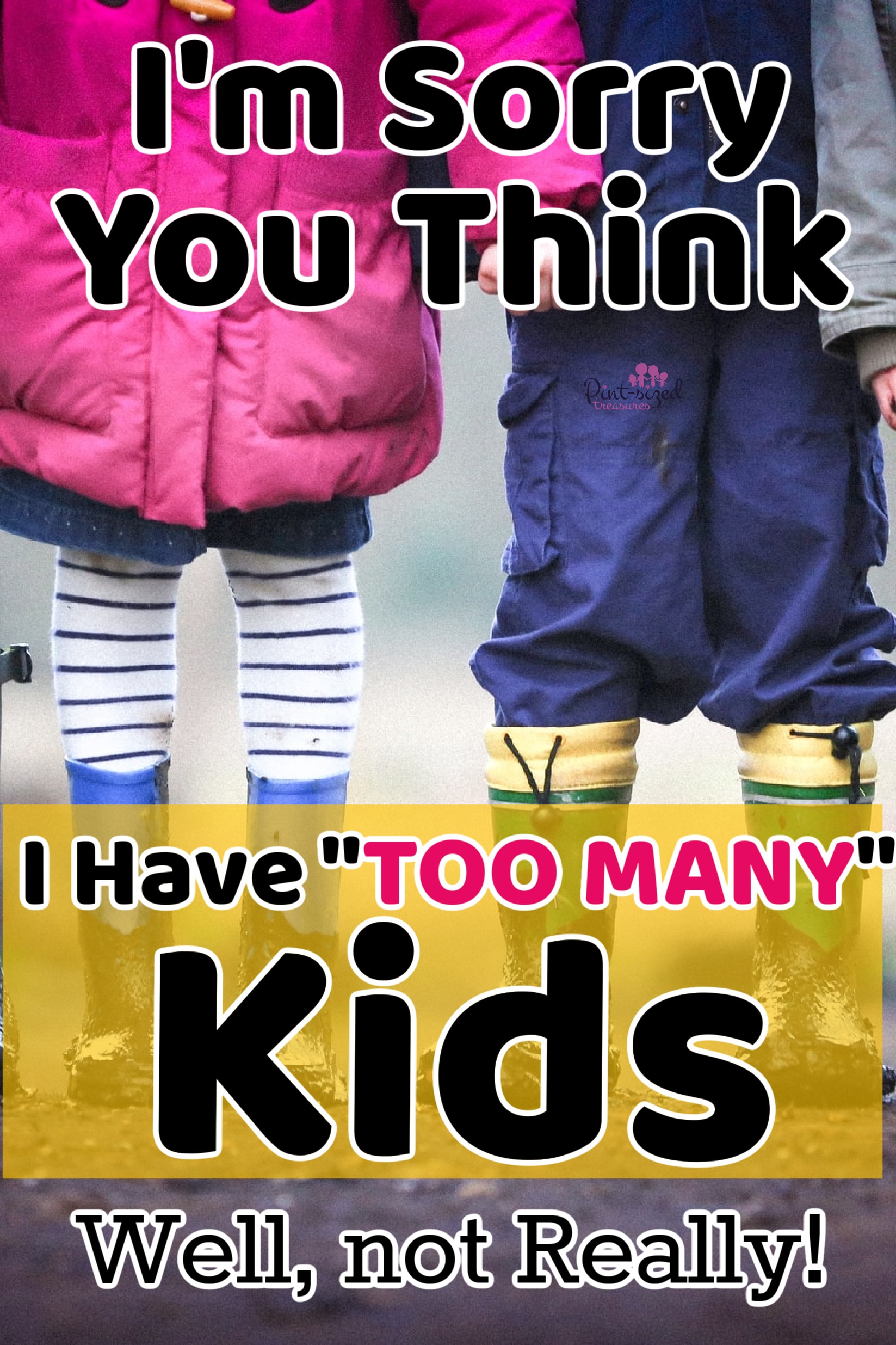 a family with a lot of kids