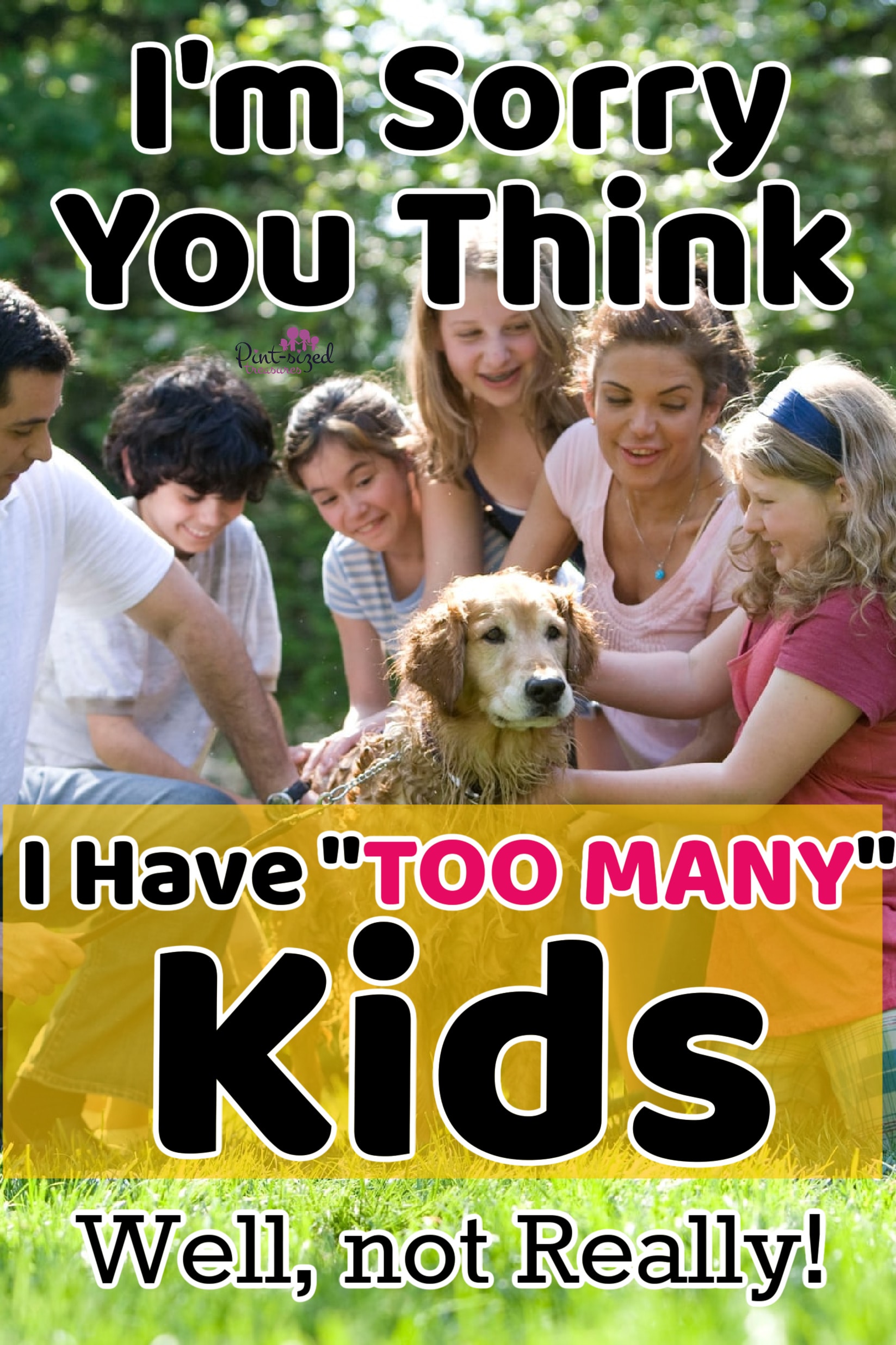 a family with a lot of children