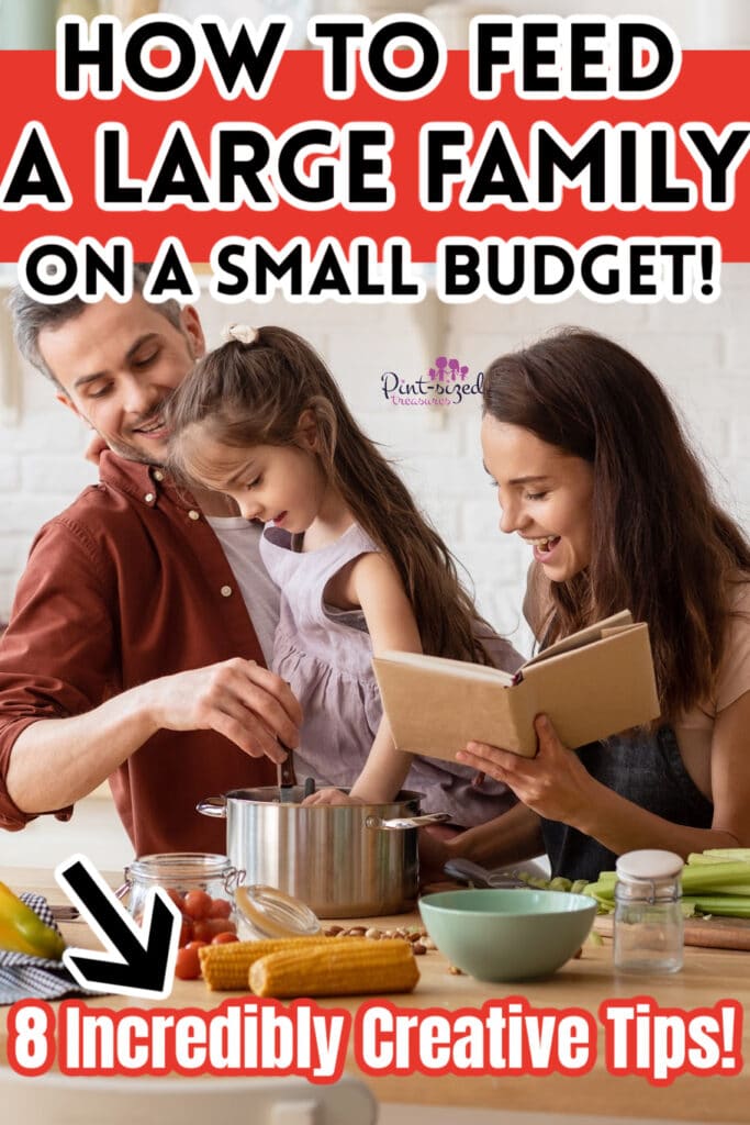 family cooking together in order to feed a large family on a skinny budget