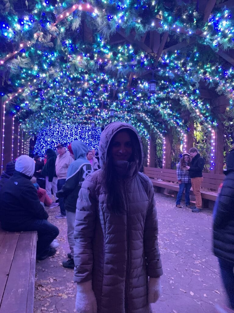 photo at Dollywood theme park