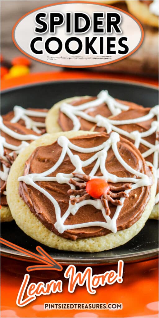spider web cookies ready to serve