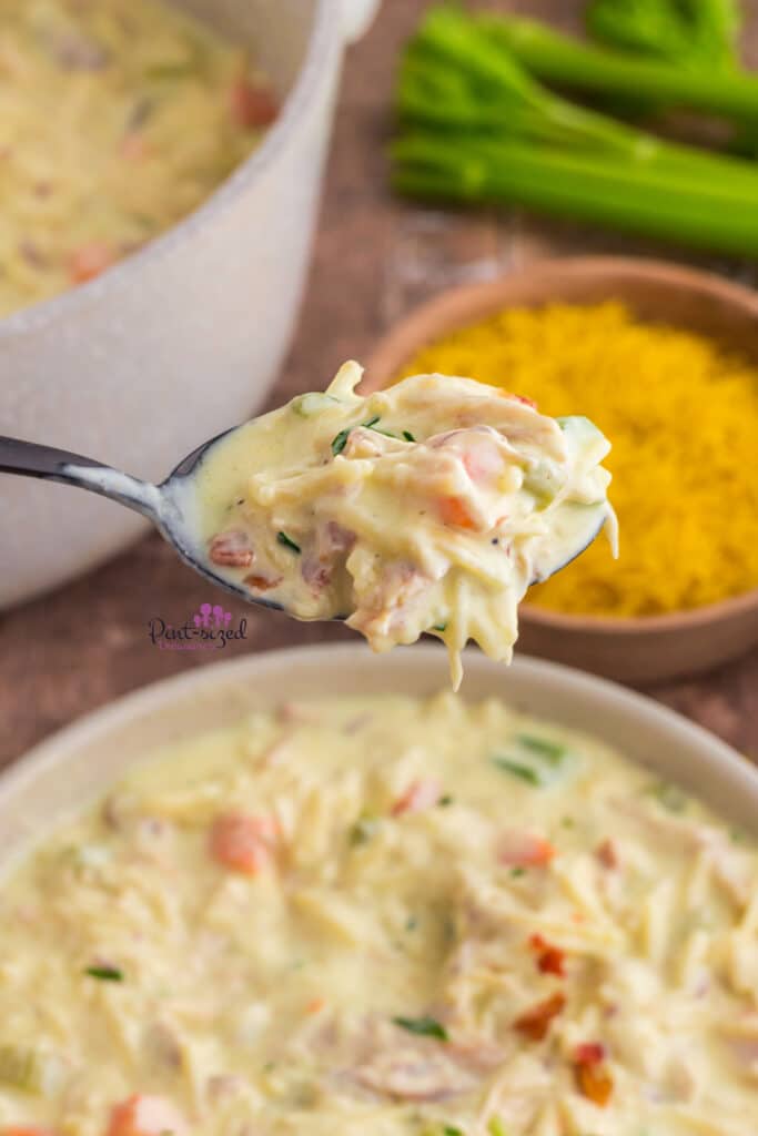 bite of crack chicken noodle soup