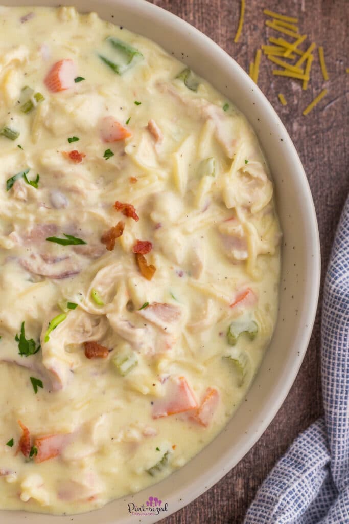 crack chicken noodle soup in serving bowl