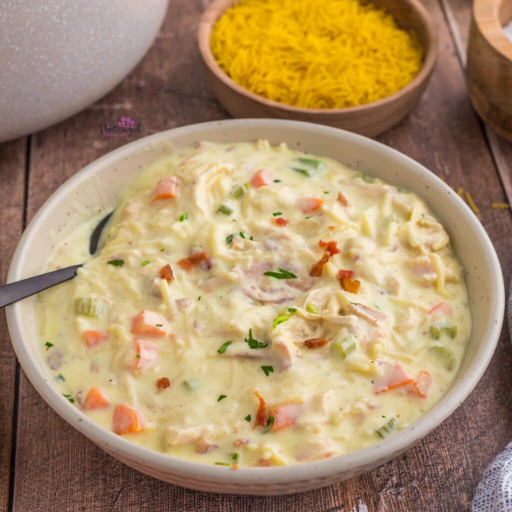 crack chicken noodle soup in bowl, ready to serve