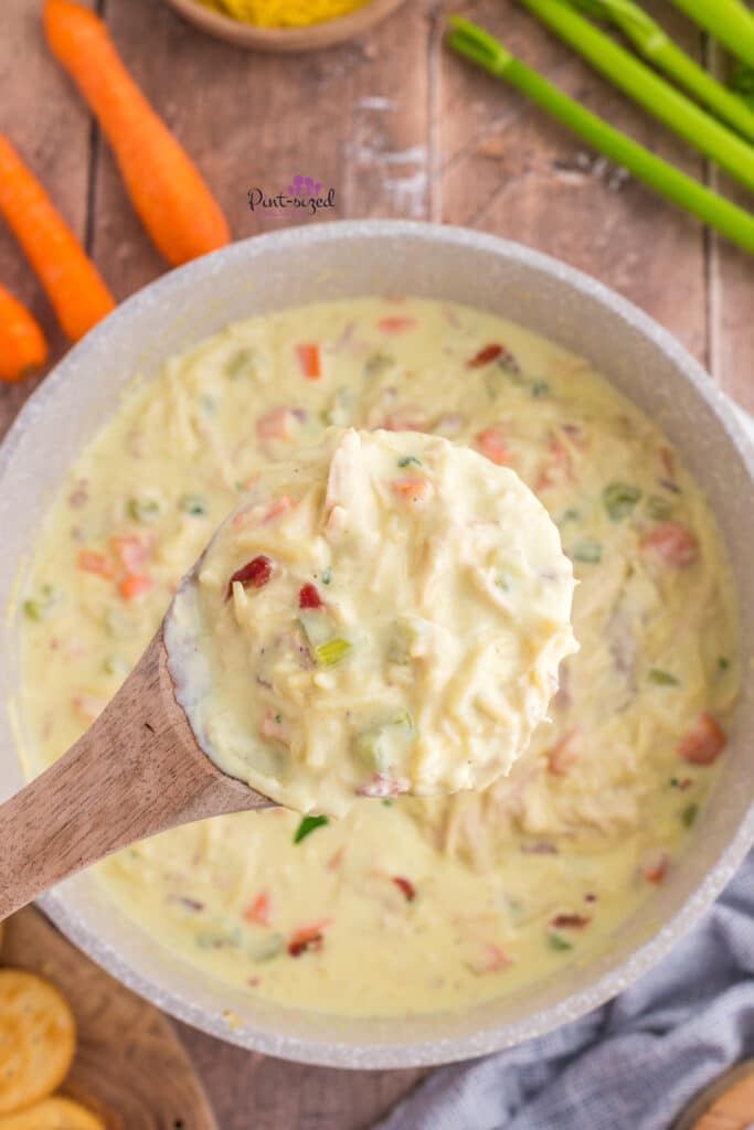 showing a spoonful of the crack chicken noodle soup recipe